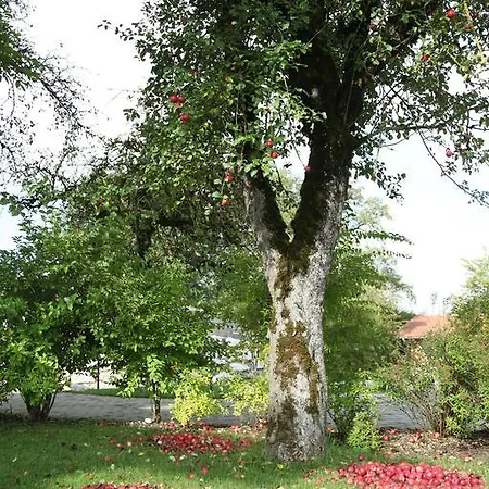 Destina-Wohnung-Hl-Margareta Chieming